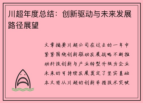 川超年度总结：创新驱动与未来发展路径展望